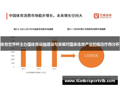 体育世界杯主办国体育设施建设与发展对国家体育产业的推动作用分析